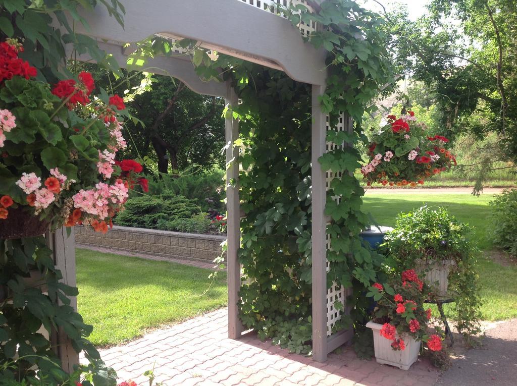 Mcdougall Lane Bed & Breakfast Drumheller Bagian luar foto