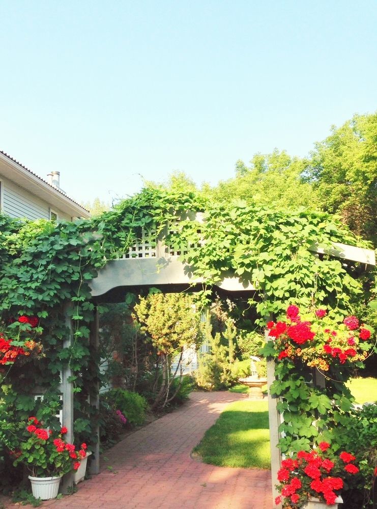 Mcdougall Lane Bed & Breakfast Drumheller Bagian luar foto